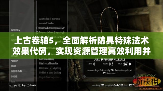 上古卷轴5，全面解析防具特殊法术效果代码，实现资源管理高效利用并避免浪费