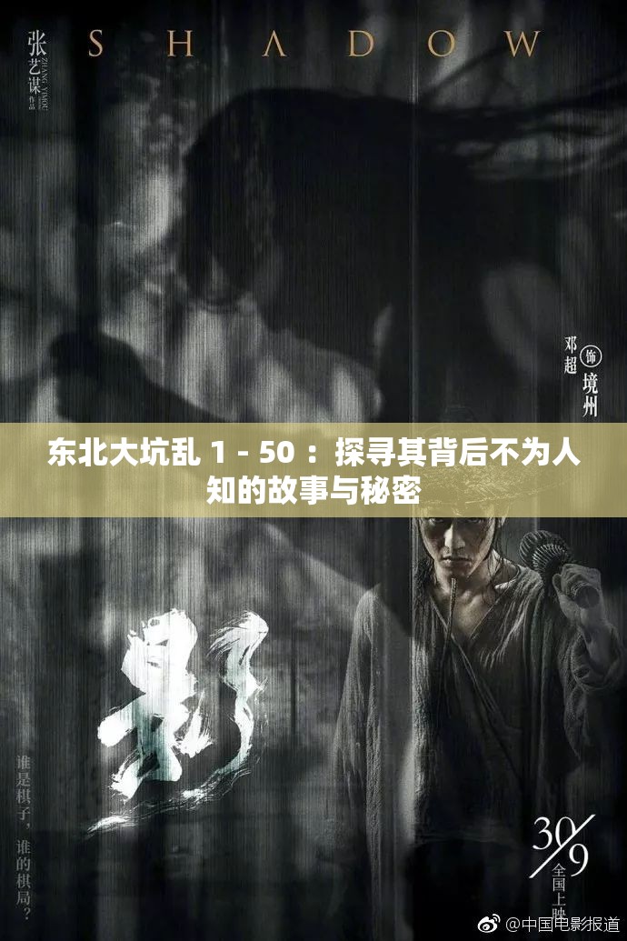 东北大坑乱 1 - 50 ：探寻其背后不为人知的故事与秘密