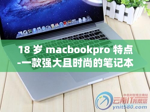 18 岁 macbookpro 特点-一款强大且时尚的笔记本电脑