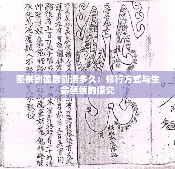 密宗割莲后能活多久：修行方式与生命延续的探究