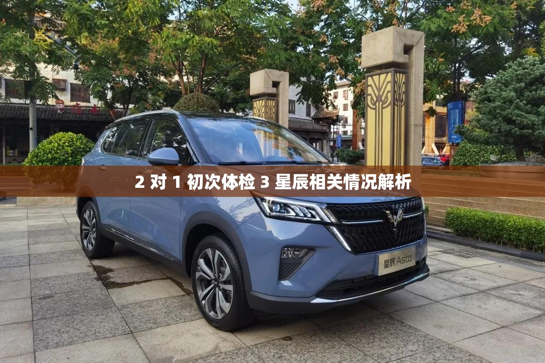 2 对 1 初次体检 3 星辰相关情况解析