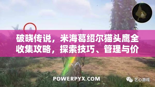 破晓传说，米海葛绍尔猫头鹰全收集攻略，探索技巧、管理与价值最大化策略