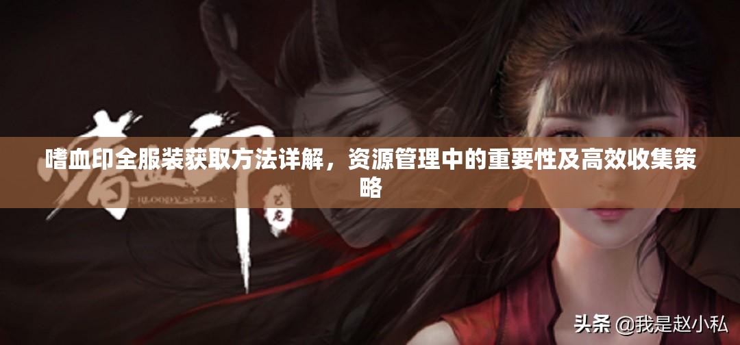 嗜血印全服装获取方法详解，资源管理中的重要性及高效收集策略