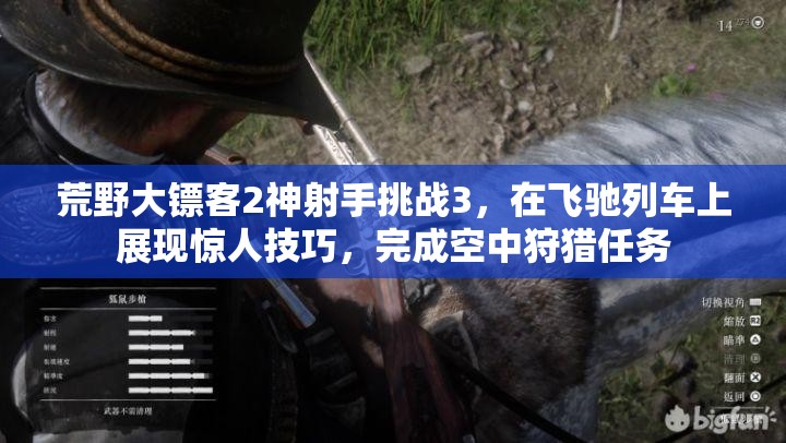 荒野大镖客2神射手挑战3，在飞驰列车上展现惊人技巧，完成空中狩猎任务