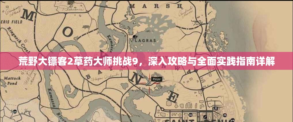 荒野大镖客2草药大师挑战9，深入攻略与全面实践指南详解