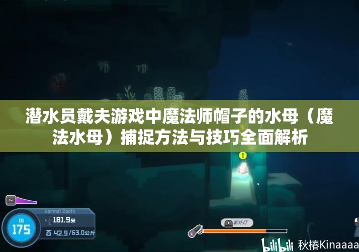潜水员戴夫游戏中魔法师帽子的水母（魔法水母）捕捉方法与技巧全面解析