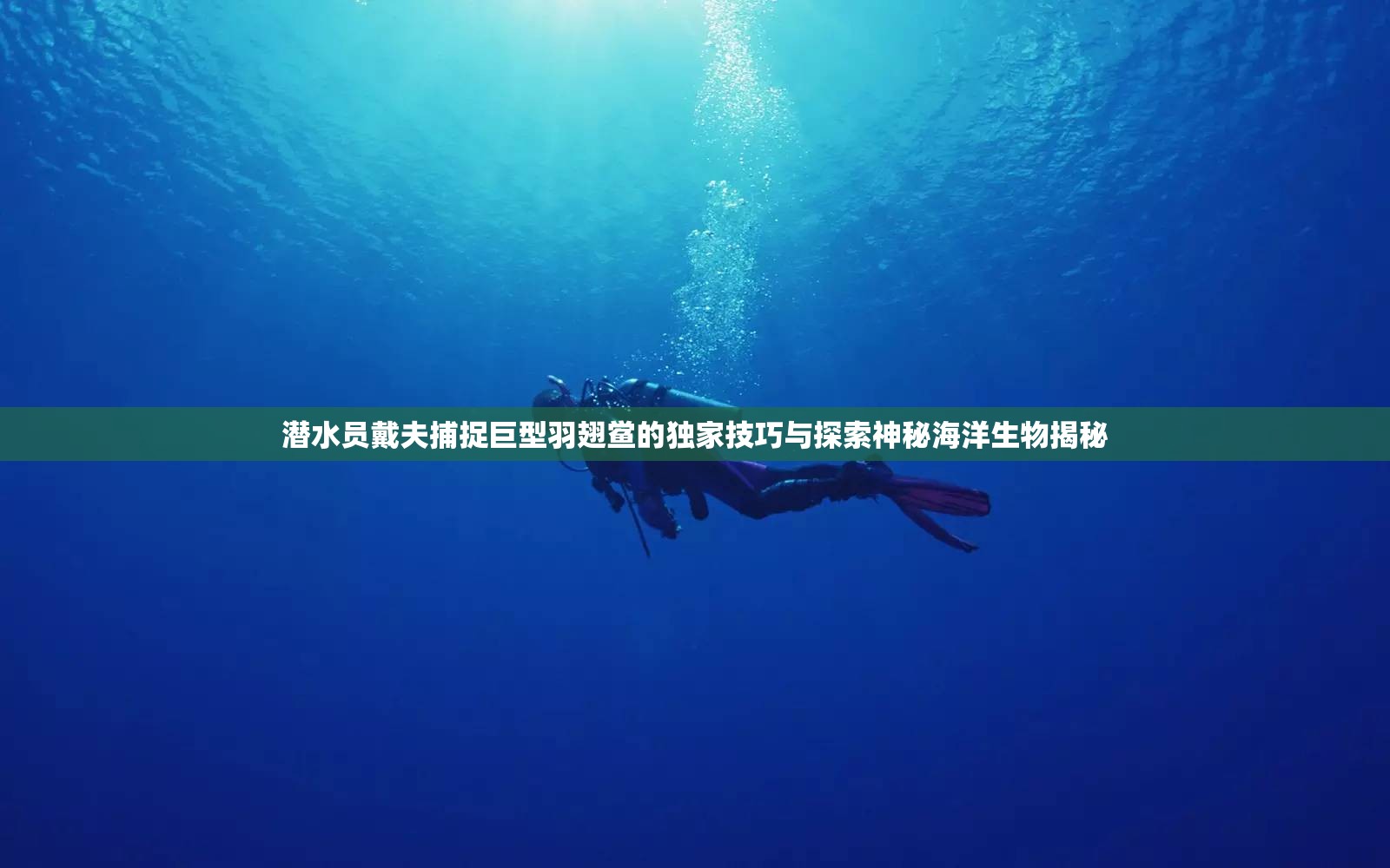 潜水员戴夫捕捉巨型羽翅鲎的独家技巧与探索神秘海洋生物揭秘