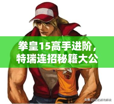 拳皇15高手进阶，特瑞连招秘籍大公开，助你解锁战斗技巧新境界