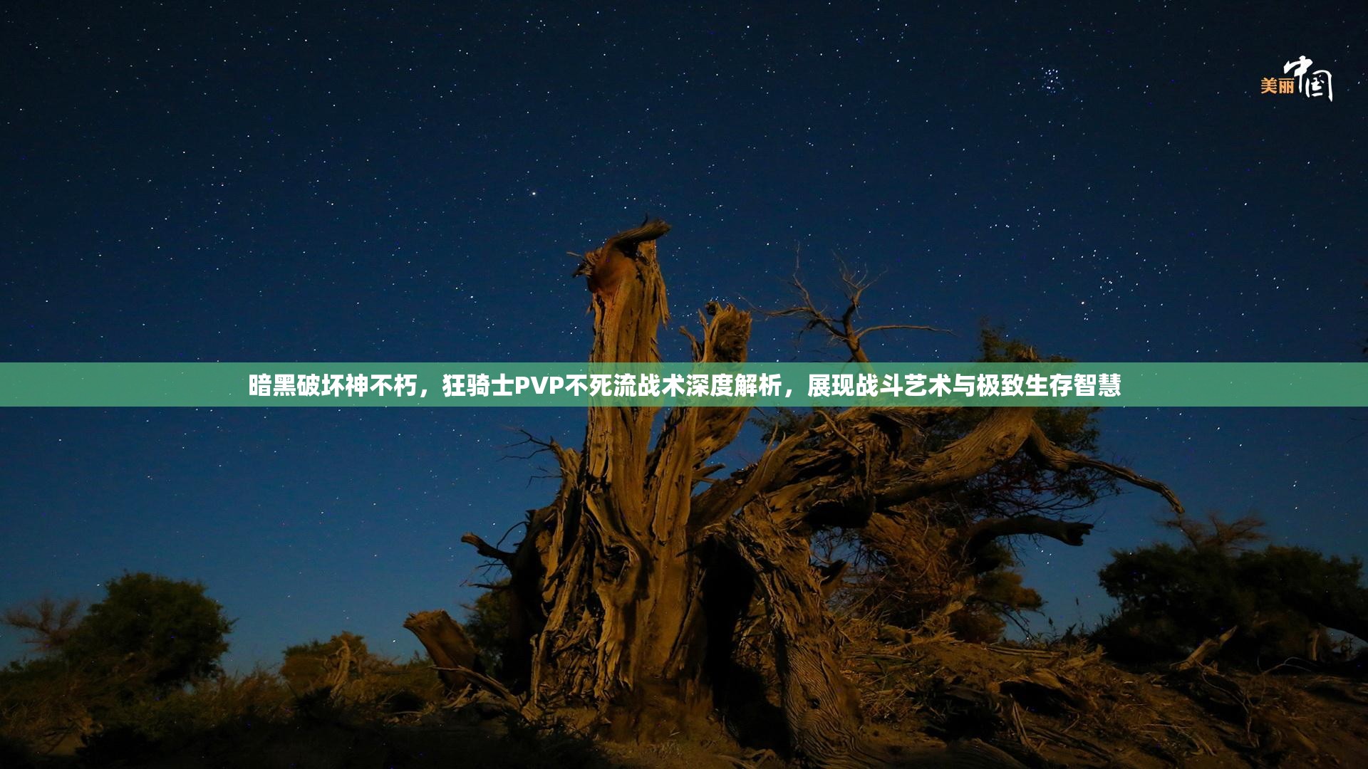 暗黑破坏神不朽，狂骑士PVP不死流战术深度解析，展现战斗艺术与极致生存智慧