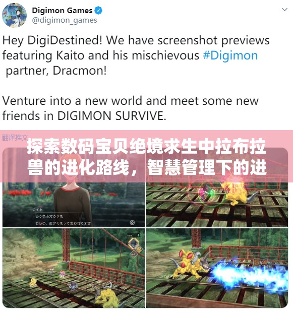 探索数码宝贝绝境求生中拉布拉兽的进化路线，智慧管理下的进化之旅