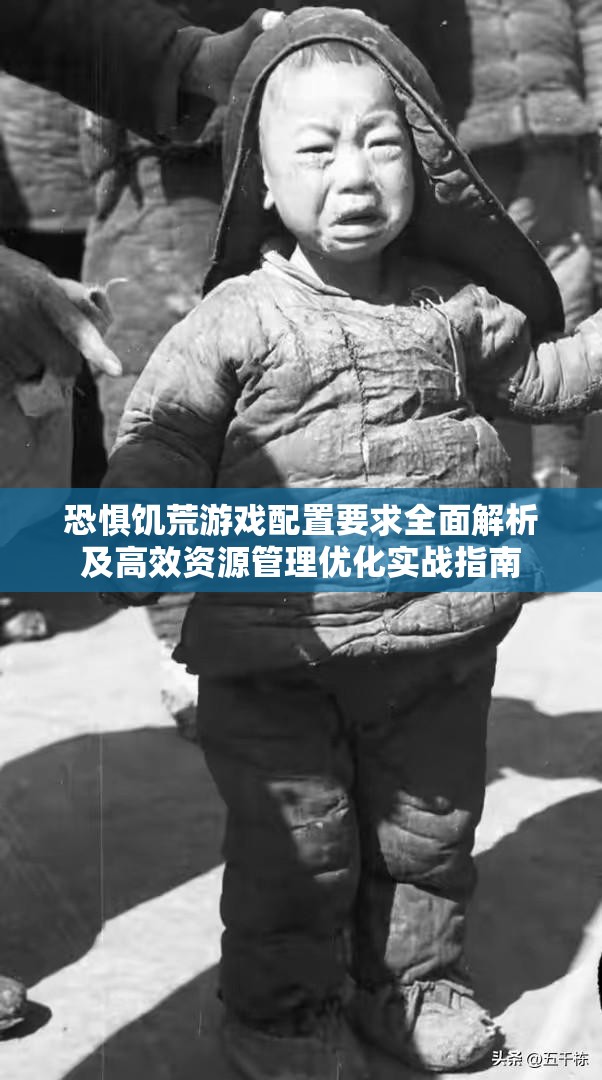 恐惧饥荒游戏配置要求全面解析及高效资源管理优化实战指南