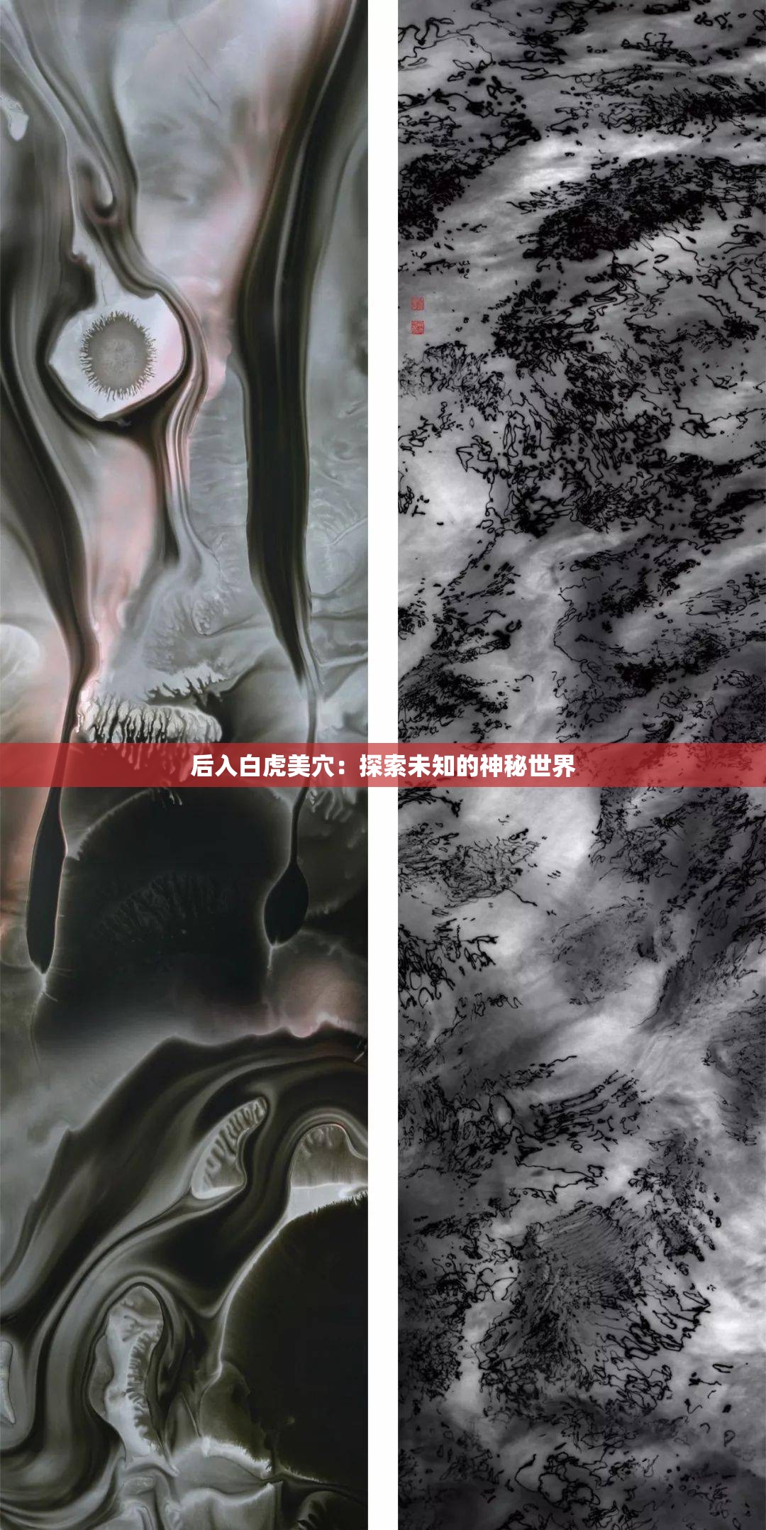 后入白虎美穴：探索未知的神秘世界