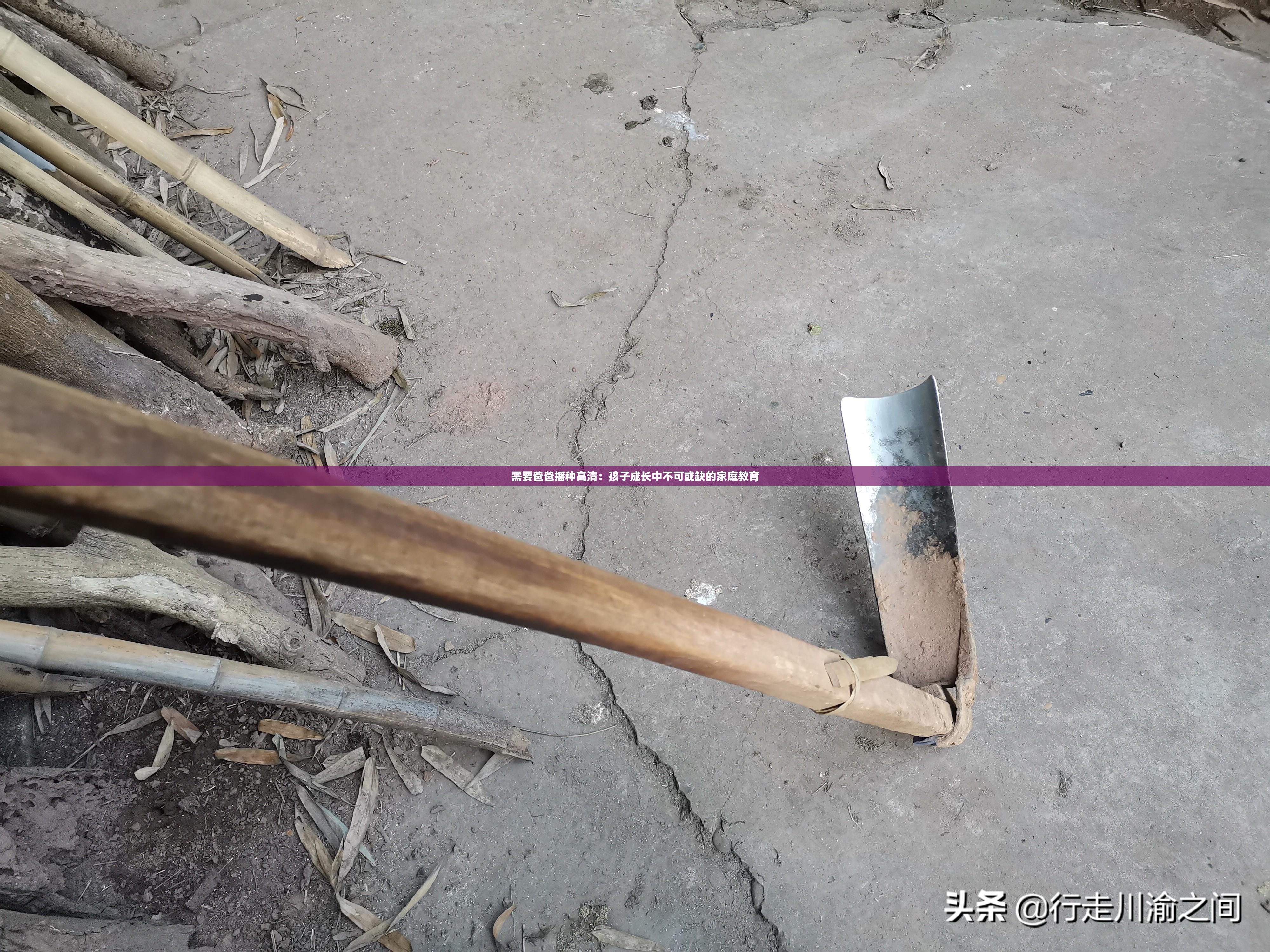 需要爸爸播种高清：孩子成长中不可或缺的家庭教育