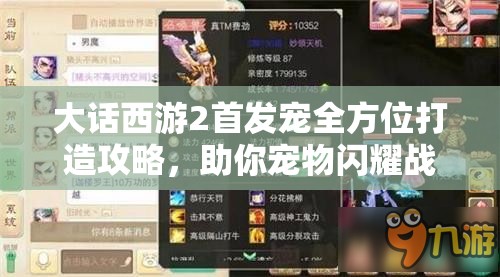 大话西游2首发宠全方位打造攻略，助你宠物闪耀战场，成为无敌之星