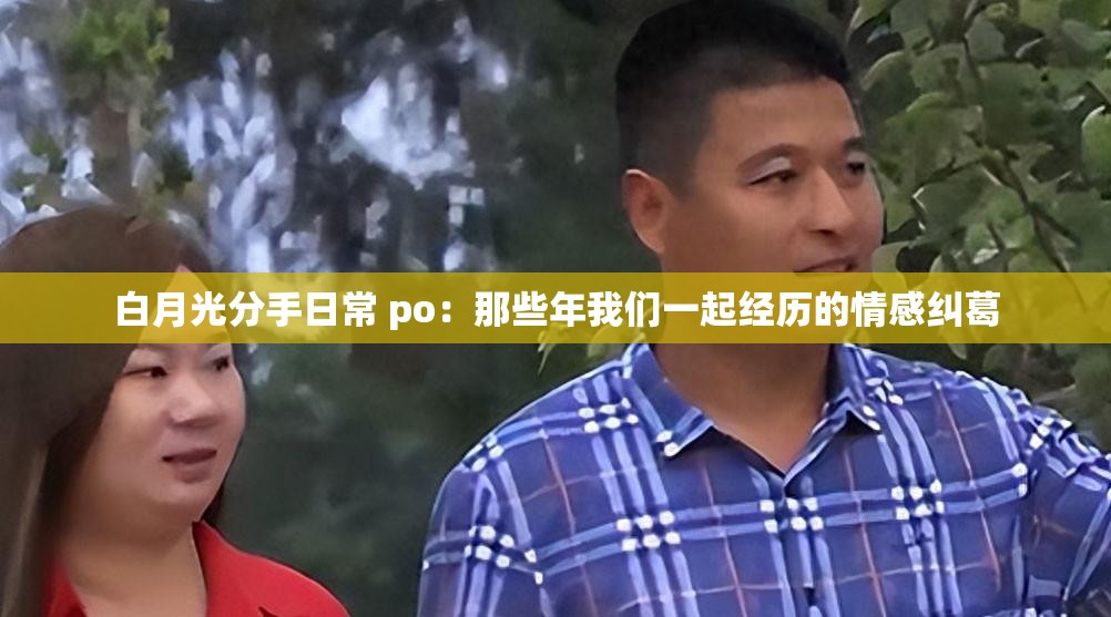 白月光分手日常 po：那些年我们一起经历的情感纠葛