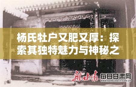 杨氏牡户又肥又厚：探索其独特魅力与神秘之处