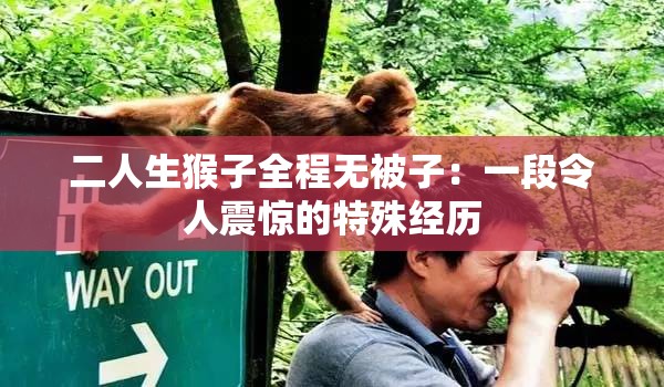 二人生猴子全程无被子：一段令人震惊的特殊经历