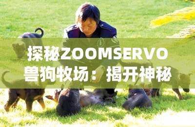 探秘ZOOMSERVO兽狗牧场：揭开神秘面纱背后的真相