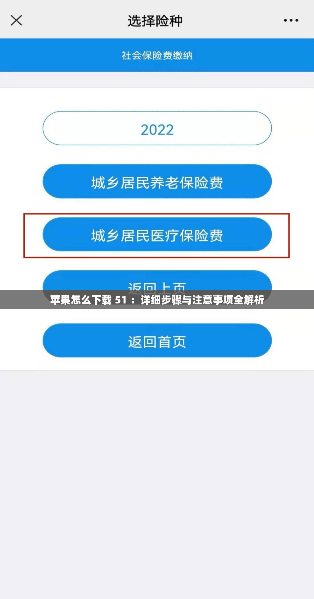 苹果怎么下载 51 ：详细步骤与注意事项全解析