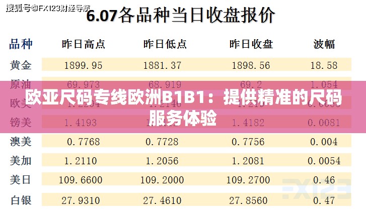 欧亚尺码专线欧洲B1B1：提供精准的尺码服务体验