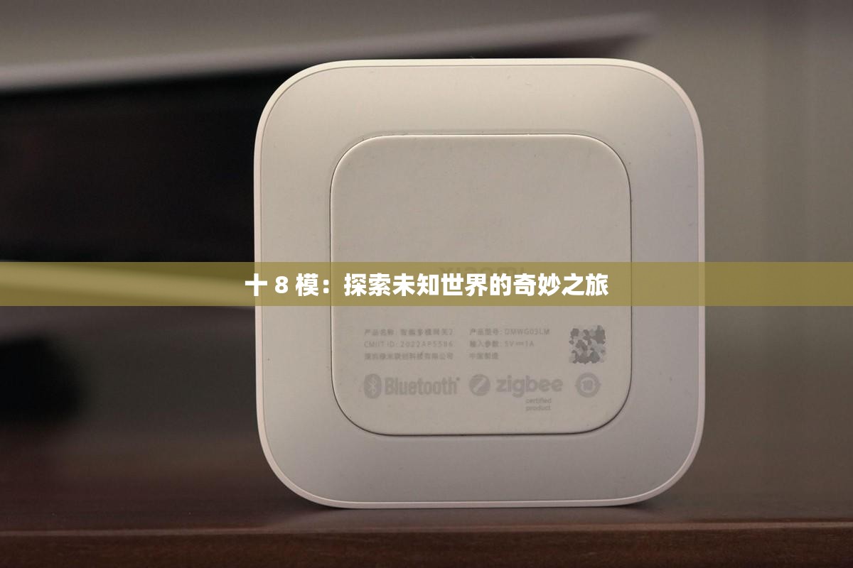 十 8 模：探索未知世界的奇妙之旅