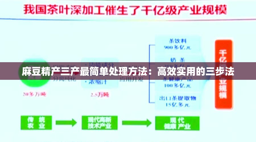 麻豆精产三产最简单处理方法：高效实用的三步法