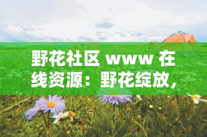 野花社区 www 在线资源：野花绽放，共享美好时光