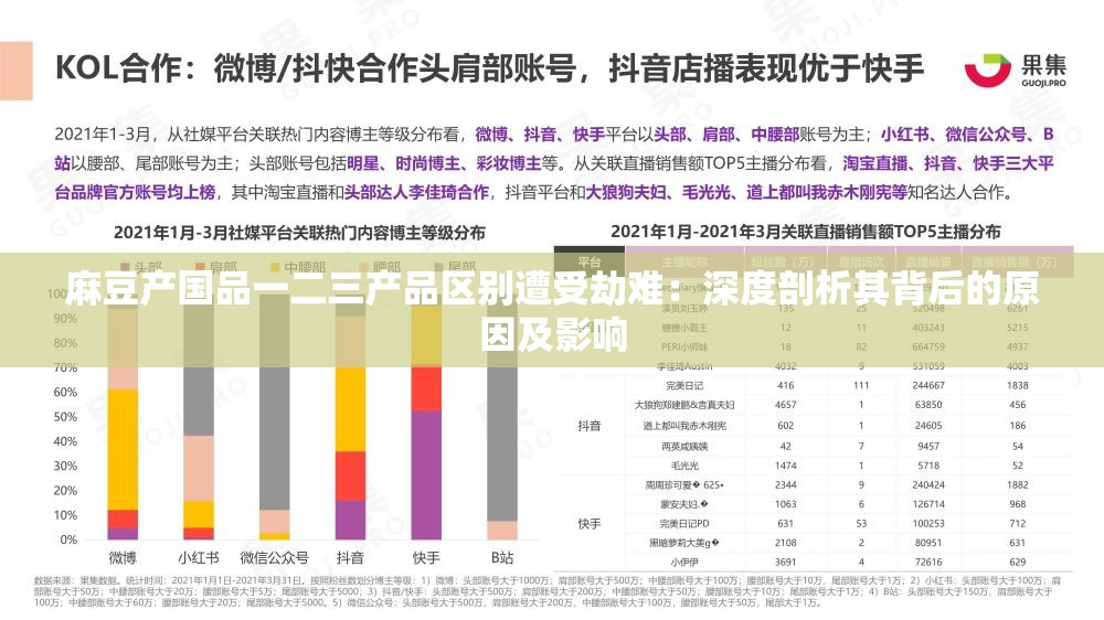 麻豆产国品一二三产品区别遭受劫难：深度剖析其背后的原因及影响