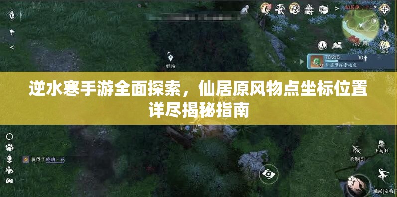 逆水寒手游全面探索，仙居原风物点坐标位置详尽揭秘指南