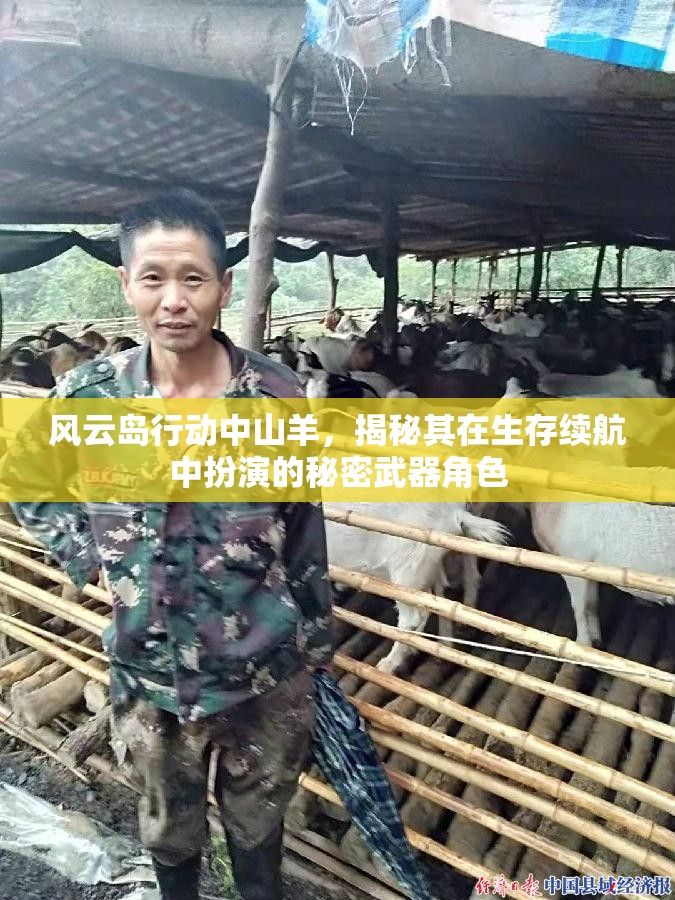 风云岛行动中山羊，揭秘其在生存续航中扮演的秘密武器角色