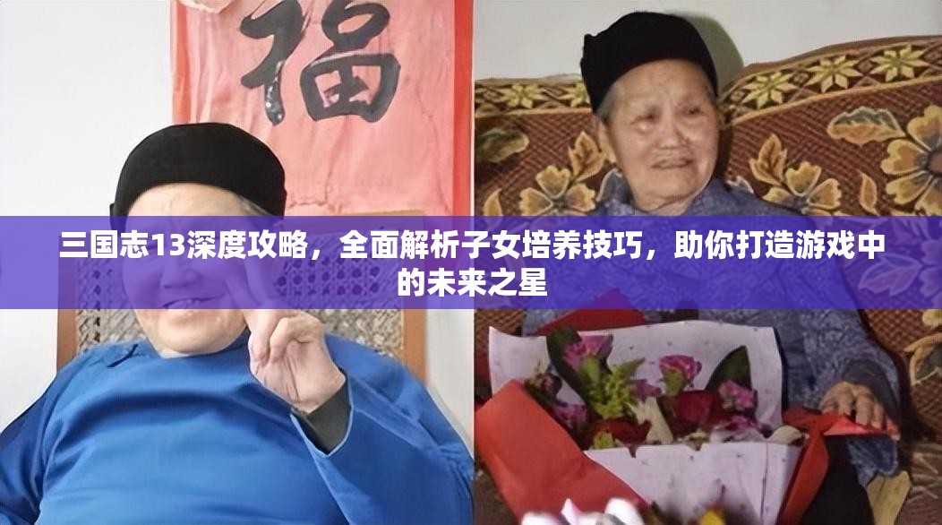 三国志13深度攻略，全面解析子女培养技巧，助你打造游戏中的未来之星