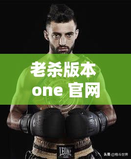 老杀版本 one 官网 ios 下载及相关内容介绍