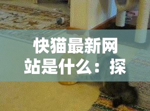 快猫最新网站是什么：探寻其背后的秘密与相关信息