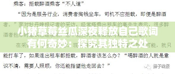 小猪草莓丝瓜深夜释放自己歌词有何奇妙：探究其独特之处