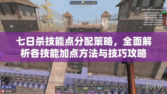 七日杀技能点分配策略，全面解析各技能加点方法与技巧攻略