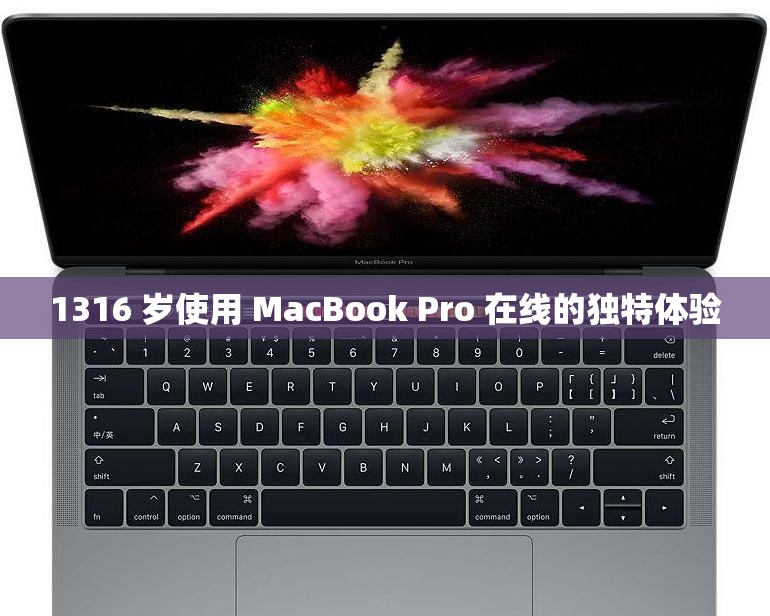 1316 岁使用 MacBook Pro 在线的独特体验