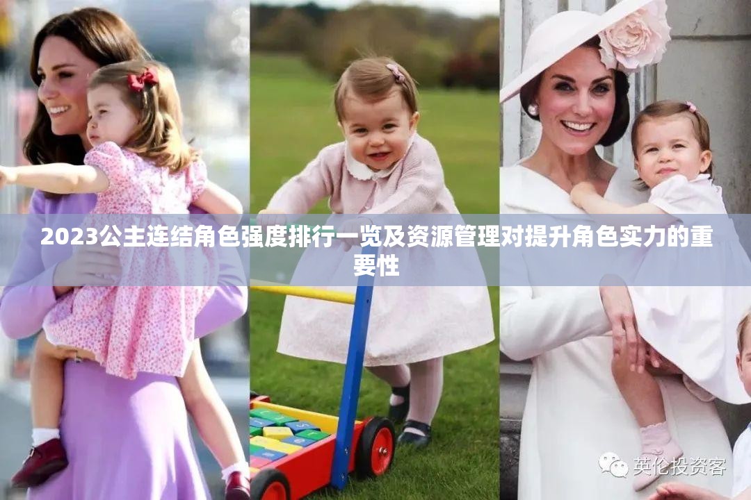 2023公主连结角色强度排行一览及资源管理对提升角色实力的重要性