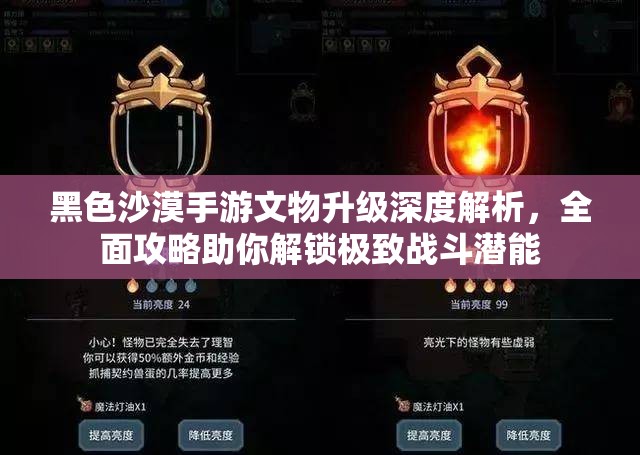 黑色沙漠手游文物升级深度解析，全面攻略助你解锁极致战斗潜能