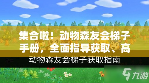 集合啦！动物森友会梯子手册，全面指导获取、高效管理及价值最大化策略