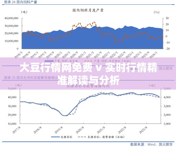 大豆行情网免费 v 实时行情精准解读与分析