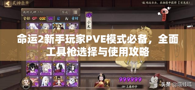 命运2新手玩家PVE模式必备，全面工具枪选择与使用攻略