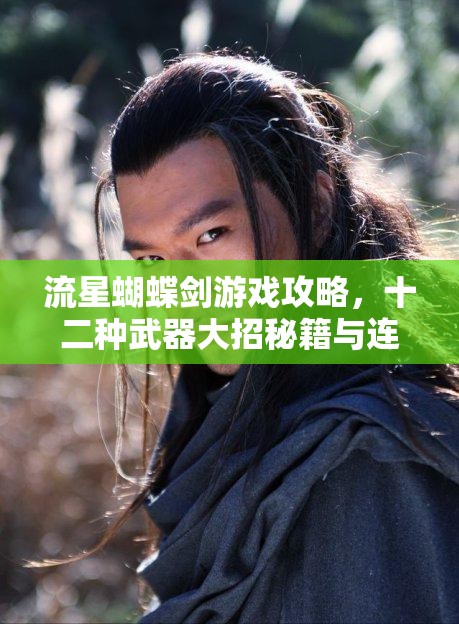 流星蝴蝶剑游戏攻略，十二种武器大招秘籍与连招技巧全面深度解析