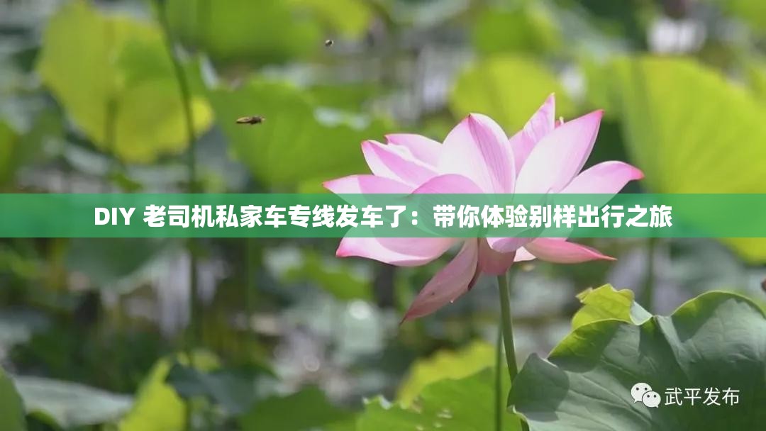 DIY 老司机私家车专线发车了：带你体验别样出行之旅