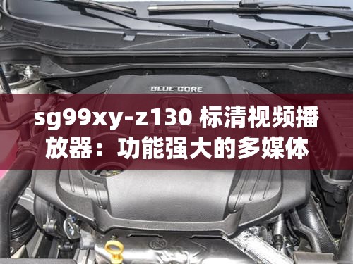 sg99xy-z130 标清视频播放器：功能强大的多媒体工具