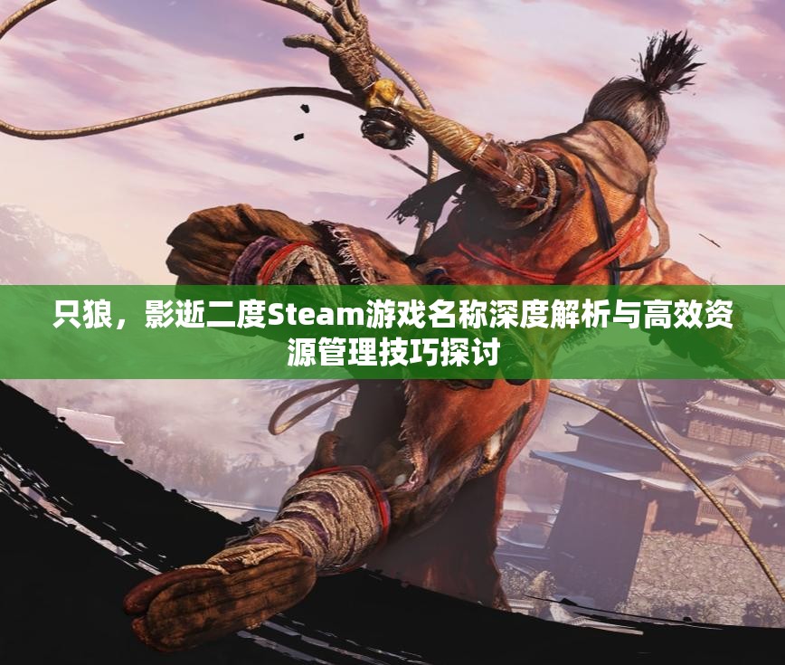 只狼，影逝二度Steam游戏名称深度解析与高效资源管理技巧探讨