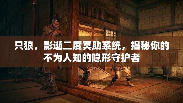 只狼，影逝二度冥助系统，揭秘你的不为人知的隐形守护者