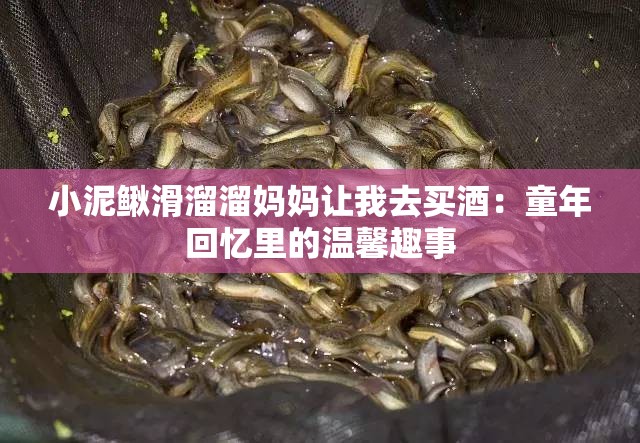 小泥鳅滑溜溜妈妈让我去买酒：童年回忆里的温馨趣事