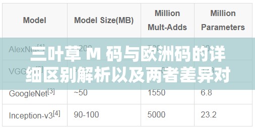 三叶草 M 码与欧洲码的详细区别解析以及两者差异对比探讨