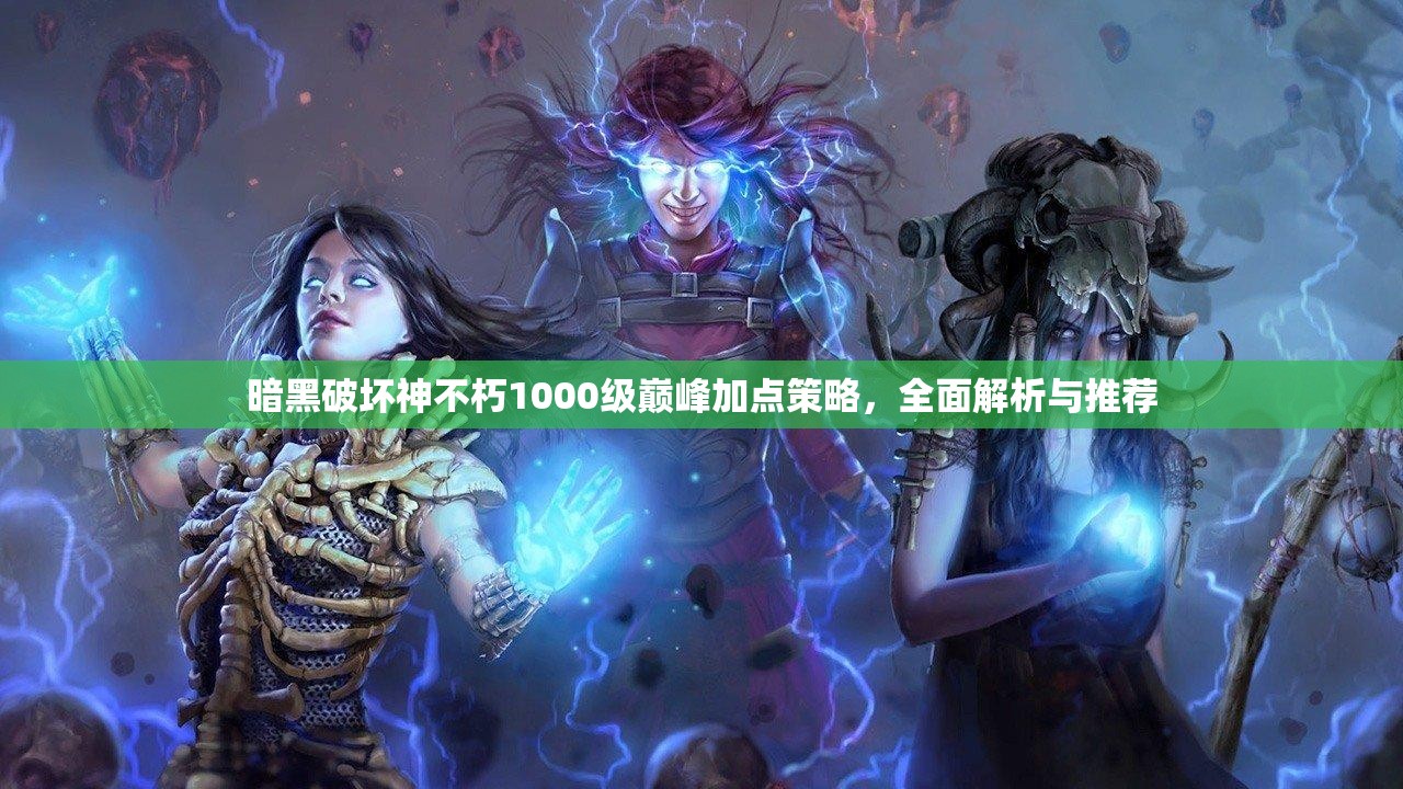 暗黑破坏神不朽1000级巅峰加点策略，全面解析与推荐