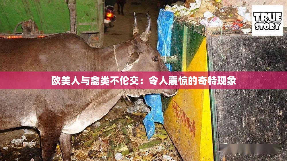 欧美人与禽类不伦交：令人震惊的奇特现象